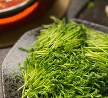 Fresh Pea Shoots