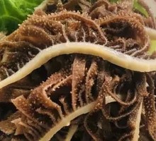 Tripe