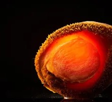 Five-Head Abalone