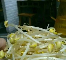 Mung Bean Sprouts