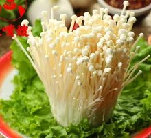 Enoki Mushroom
