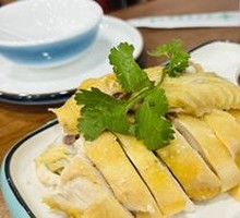 Pudong Three-Yellow Chicken