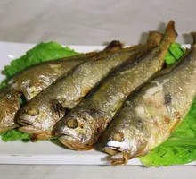 Large Yellow Croaker