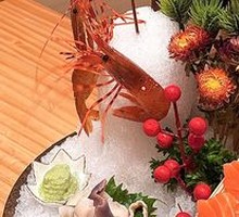 Live Peony Shrimp