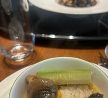 Yellow贡 Pepper Burned HanShou Turtle