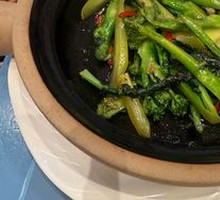 Broccoli Stem