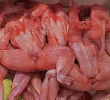 Fresh Frog Legs