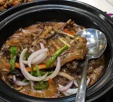 Braised Softshell Turtle