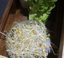 Bean sprouts
