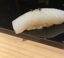 Squid
