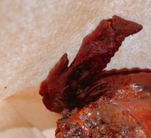 Fuding Secret-Recipe Chicken Wings