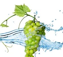 Zui Jin Xiang Grape