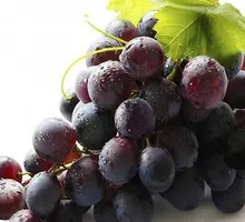 Kyoho Grape
