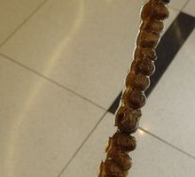 Chinese yam beans