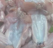 Fresh Frog Legs