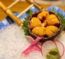 Sea Urchin