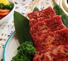 Premium Rib Membrane