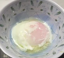 Hot Spring Egg Beef Eel Donburi