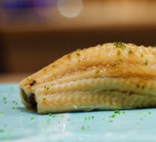 Conger Eel