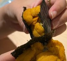 Sea Urchin