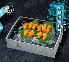 Fresh Sea Urchin