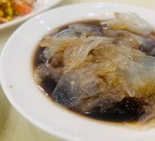 Old Vinegar Jellyfish