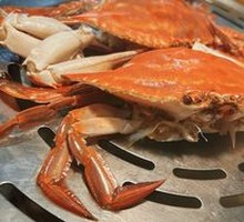 Spider Crab