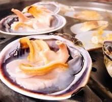 Deep Sea Large Arctic Scallop