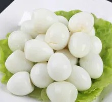 Quail Egg