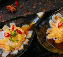 Sea Urchin