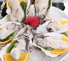 Mustard Oyster