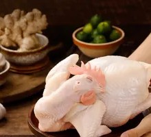 Freshly Killed Free-range Chicken