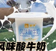 Flavored Yogurt