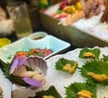 Sea Urchin