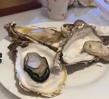 Oyster