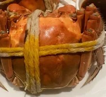 Freshwater Crab