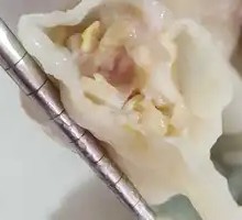 Fresh Pork Dumplings with Chinese Cabbage
