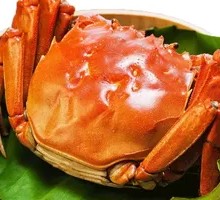 Female Crab