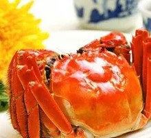 Male Crab