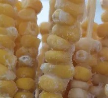 Corn