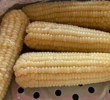 Sweet Corn
