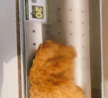 Crispy Chicken Cutlet