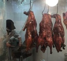 Duck Wing