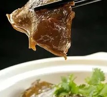 Clay Pot Softshell Turtle