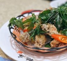 Oyster Fritters