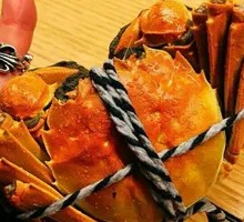 Red Roe Male Crab