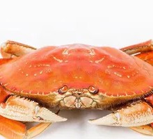 Lobster