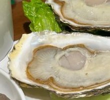 Oyster