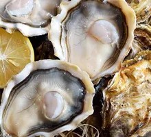 Crystal Oyster