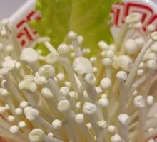 Enoki Mushroom